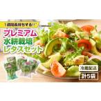 セット 詰合せ 2257 洗わずに食べられる