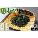 お茶類 緑茶 茶葉 ティーバッグ 宇治煎茶 極茶