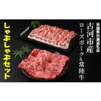 ふるさと納税 豚肉 しゃぶしゃぶ 茨城県 古河市 古河市産ローズポーク&常陸牛『しゃぶしゃぶセット』〈茨城県共通返礼品〉 | 肉 牛肉 豚肉 国産 茨城県 古河…