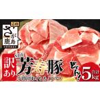 訳あり SPF芳寿豚 小間切れ 満足セット1kg×5袋