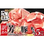 ふるさと納税 豚肉 モモ 佐賀県 鹿島市 8月配送 訳あり 配送月が選べる SPF芳寿豚 小間切れ大容量満足セット1kg×5袋 合計5kg 業務用サイズでボリューム重視…