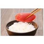 fu.... налог рыба моллюски икра минтая Hokkaido . столица блок новый * икра минтая 2kg комплект (YZ047)