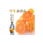 ふるさと納税 果物類 みかん 和歌山県 海南市 小粒みかんS又はSSサイズ 5kg 小粒の早生みかん 11月中旬〜1月中旬頃に鈴木みかん農園より農園直送|Sサイズ 2S…