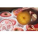 ふるさと納税 りんご 山形県 南陽市  令和7年産先行予約 〈訳あり品 家庭用〉 りんご 「高徳」 約3kg (11〜18玉前後)《令和7年11月上旬〜発送》 『平農園』 リ…