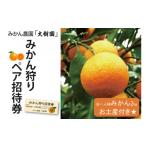 果物類 みかん みかん狩り ペア招待券 付き
