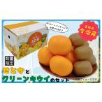 ふるさと納税 果物類 みかん 愛媛県 今治市  先行予約 せとかとグリーンキウイのセット 20セット限定　 K001310