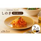 食器 グラス 大皿 波佐見焼 しのぎ 特大皿 2枚セット