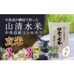 ふるさと納税 玄米 新潟県 十日町市 先行新米予約 定期便/全3回 玄米3kg 新潟県魚沼産コシヒカリ「山清水米」