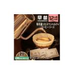コーヒー コーヒー豆 早苗 焙煎珈琲豆 12か月定期便