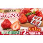 いちご 先行受付 全2回定期便 糸島産 春 あまおう 4パック
