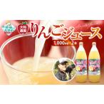 果汁飲料 りんご りんごジュース 100%