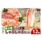 豚肉 しゃぶしゃぶ かわい農場 中ヨークシャー交雑種