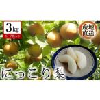 梨 \年内発送予定 にっこり 約3kg