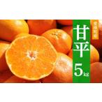 ショッピング甘平 ふるさと納税 果物類 みかん 愛媛県 愛南町 先行予約 甘平 約5kg みかん 蜜柑 オレンジ 温州みかん 愛媛みかん 果物 くだもの 果実 柑橘 果肉 果汁 フルーツ …