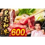 ふるさと納税 牛肉 ロース 大阪府 泉佐野市 黒毛和牛 肩ロース 600g すきしゃぶ 氷温熟成×極味付け 国産 すき焼き しゃぶしゃぶ 牛肉 牛丼 野菜炒め