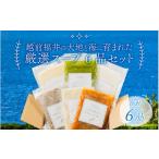 惣菜 レトルト 冷凍 越前福井の大地と海に育まれた厳選スー…