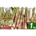 fu.... налог овощи вид дикоросы Yamagata префектура Tsuruoka город . мир 8 год производство предшествующий предварительный заказ месяц гора . очень большой размер (2L и больше ) 1kg Yamagata префектура Tsuruoka производство Grace ферма 