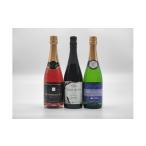 ふるさと納税 ワイン セット 長野県 塩尻市 塩尻産 スパークリングワイン 3本セットA｜ワイン わいん スパークリング セット 飲み比べ 長野県 塩尻市