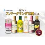ふるさと納税 ワイン スパークリングワイン 山梨県 笛吹市 缶ワイン スパークリング 6種 12本入 モンデ酒造 177-4-042