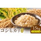 米 コシヒカリ お米 千葉めぐみ米 5kg
