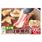 豚肉 焼肉 バーベキュー かわい農場 中ヨークシャー交雑種