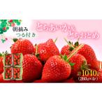 ふるさと納税 いちご 栃木県 鹿沼市 先行予約 あいか×おとめハーフ&ハーフ 4パック (2025年12下旬〜2026年1月上旬)いちご 果物 フルーツ 苺 イチゴ くだ…