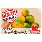 ふるさと納税 果物類 みかん 和歌山県 有田川町 訳あり ゆら早生 みかん 箱込10kg(内容量 9.2kg)サイズミックス 有田みかん 和歌山県産 みかんの会 ［2026年10…