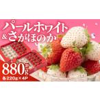 ショッピングふるさと納税 いちご ふるさと納税 いちご 佐賀県 白石町  先行予約 いちご食べ比べ 『さがほのか』と『パールホワイト』220g×各2パック 計4パック ハヤシダファーム いちご 苺 イ…