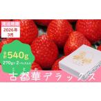 ふるさと納税 いちご 奈良県 田原本町 （冷蔵） ３月発送分 イチゴ 奈良県産高級ブランド品種「古都華」デラックス（270g×２パック） ／ 上田農園 苺 いちご …
