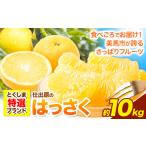 みかん 柑橘類 八朔 はっさく 10kg