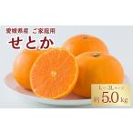 せとか 約5kg