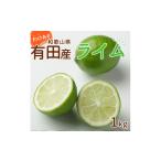 みかん 柑橘類 有田産 ライム 約1kg