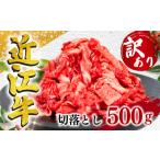 ふるさと納税 牛肉 滋賀県 竜王町  訳あり 近江牛 切り落とし 500g 黒毛和牛 冷凍 （ 黒毛和牛 日本 三大和牛 牛肉 250g × 2パック 肉 ギフト 自宅用 高級 黒…
