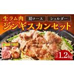 羊肉 ジンギスカン 生ラム肉セット1.2kg