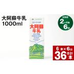 飲料類 牛乳 2ヶ月毎 6回定期便 大阿蘇牛乳 1000ml