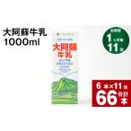 飲料類 牛乳 11回定期便 大阿蘇牛乳 1000ml