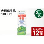 飲料類 牛乳 2ヶ月毎 2回定期便 大阿蘇牛乳 1000ml