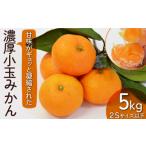 ふるさと納税 果物類 みかん 長崎県 南島原市  2026年10月下旬〜発送 甘味が凝縮 濃厚 小玉みかん 5kg 温州みかん 2Sサイズ以下 ／ みかん 小玉 フルーツ 果物…
