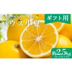 ふるさと納税 みかん・柑橘類 高知県 香南市 2026年出荷分 日向夏 ハウス小夏 2.5kg(ギフト用) 高知 土佐 こなつ 果物 フルーツ 土佐の高知のくだもの畑 先行…
