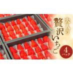 ショッピングふるさと納税 いちご ふるさと納税 いちご 愛知県 田原市 安田農園 大人の贅沢いちご 4パック イチゴ