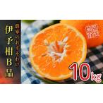 ふるさと納税 果物類 みかん 愛媛県 松山市  ふるさと納税 2026年1月から発送予定 家庭用 宮内伊予柑 10kg サイズ混合 （ 訳あり 柑橘 みかん 果物 くだもの …