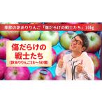 ふるさと納税 りんご 岩手県 陸前高田市 先行予約 訳あり品 傷だらけの戦士たち 季節のりんご MIX 10kg 2種類以上お届け リンゴ 品種 おまかせ 旬 お届け 岩手…