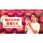ふるさと納税 りんご 岩手県 陸前高田市 訳あり品 傷だらけの勇者たち サンふじ 10kg りんご 旬 お届け 岩手 陸前高田 2025年11月下旬以降発送予定 RT2063