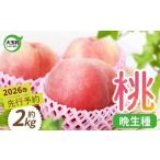 ふるさと納税 もも 福