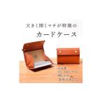 小物 カードいっぱいケース C25 カードケース
