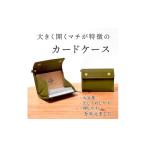 小物 カードいっぱいケース C25 カードケース