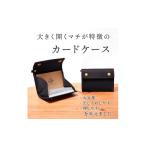 小物 カードいっぱいケース C25 カードケース