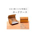小物 カードいっぱいケース C25 カードケース