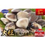 しじみ あさり 蛤 はまぐり 定期便3ヶ月 九十九里産