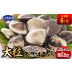 しじみ あさり 蛤 はまぐり 定期便6ヶ月 九十九里産